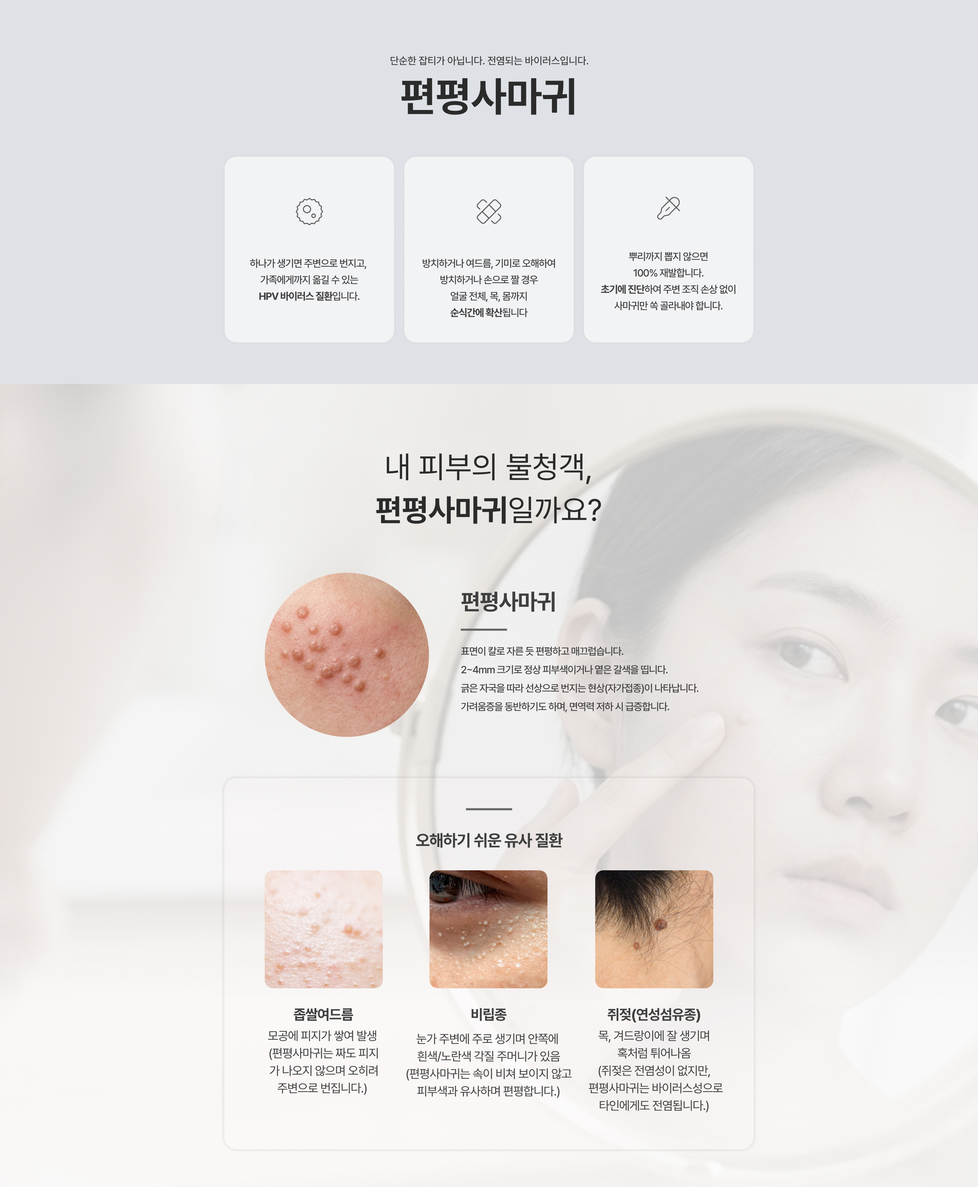 편평사마귀란